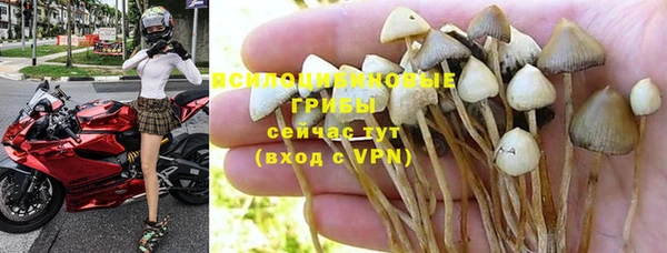 2c-b Богородицк